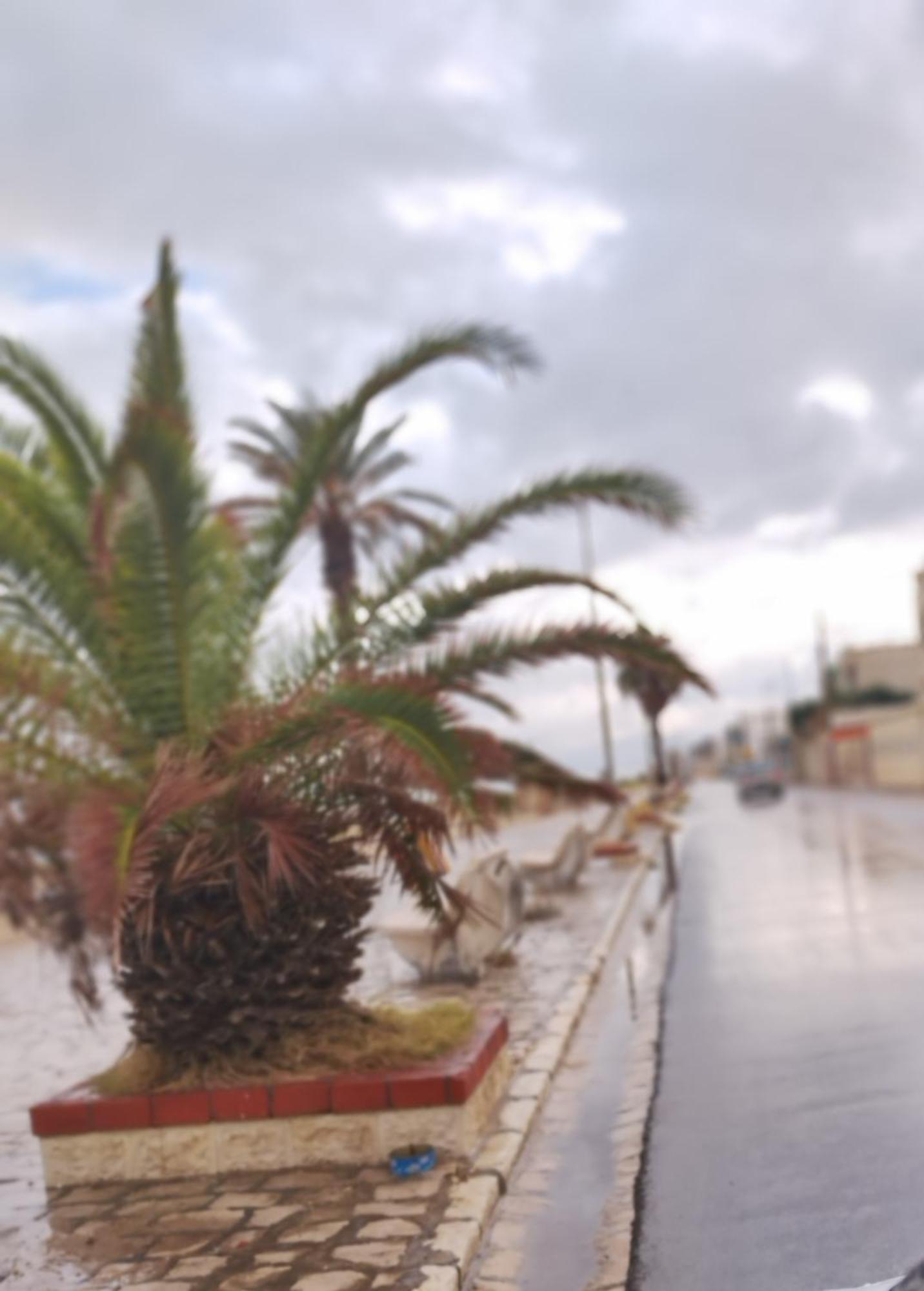 Appartement Hammam-Lif Les Cyclamens Tunisie Afrique エクステリア 写真